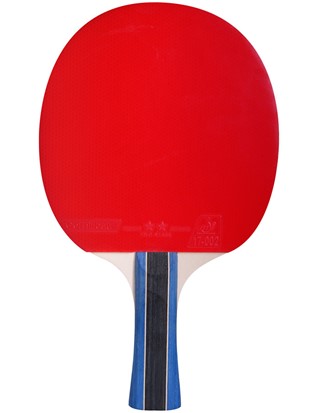 Lopar za namizni tenis Cornilleau Sport 200
